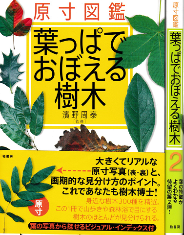 葉っぱでおぼえる樹木 : 原寸図鑑 (1)( 2) 全2冊