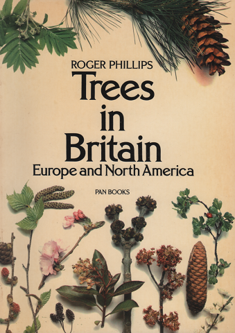 Trees in Britain