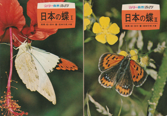 日本の蝶Ⅰ Ⅱ 全2冊