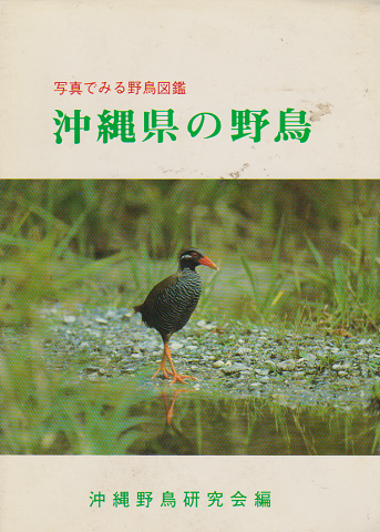 沖縄県の野鳥