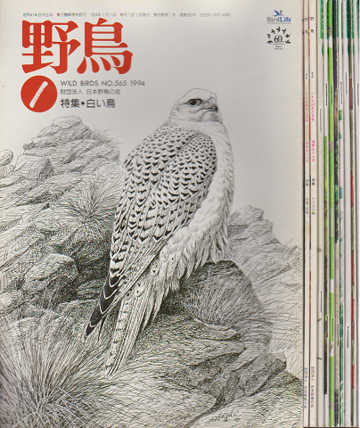 雑誌「野鳥」　1994年　一年分11冊