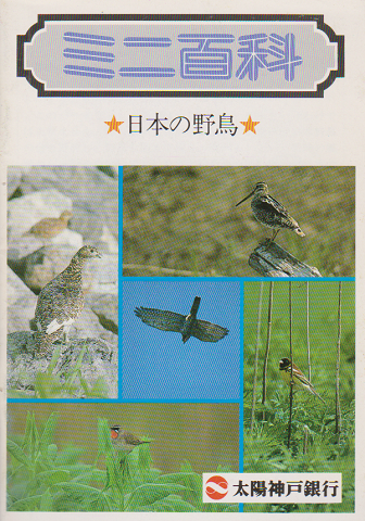 ミニ百科 日本の野鳥