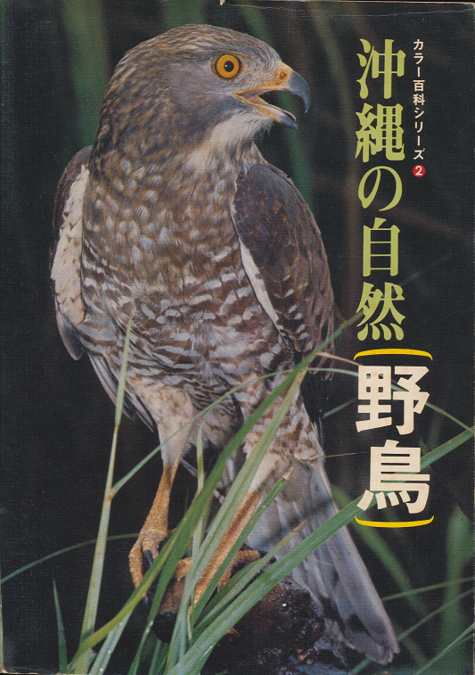沖縄の自然野鳥