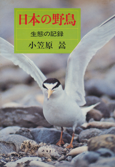 日本の野鳥 : 生態の記録