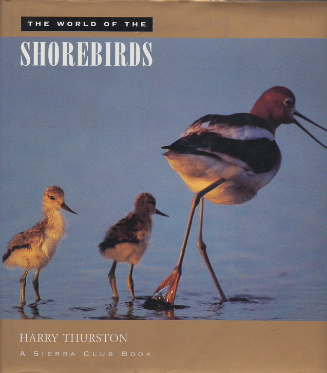 The world of the Shorebirds