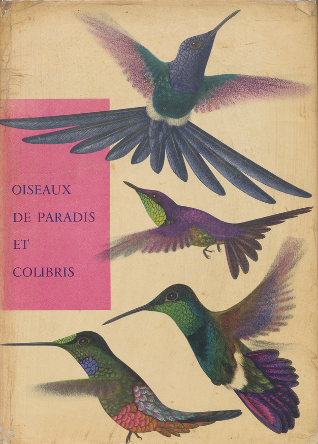 Oiseaux de Paradis et Colibris