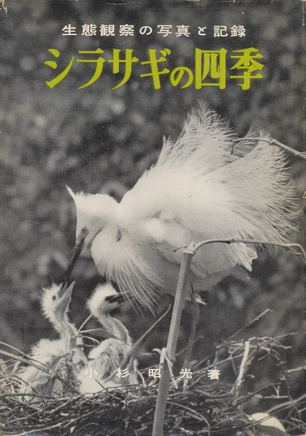 シラサギの四季 : 生態観察の写真と記録