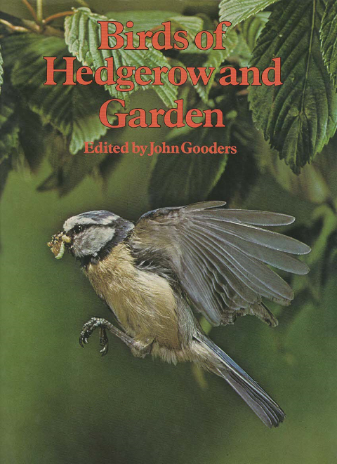 Birds of Hedgerow and Garden