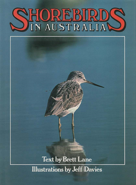 Shorebirds in Australia