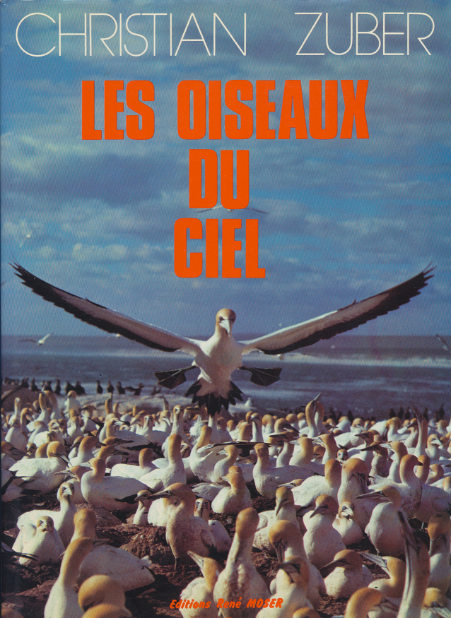 Les Oiseaux Du Ciel