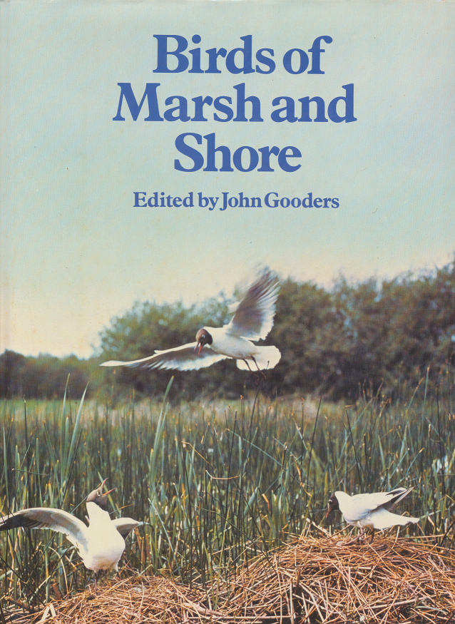 Birds of Marsh and Shore