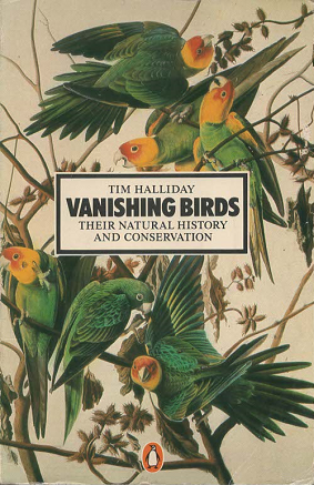 Vanishing Birds