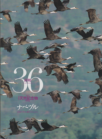週刊日本の天然記念物 : 動物編36　ナベヅル