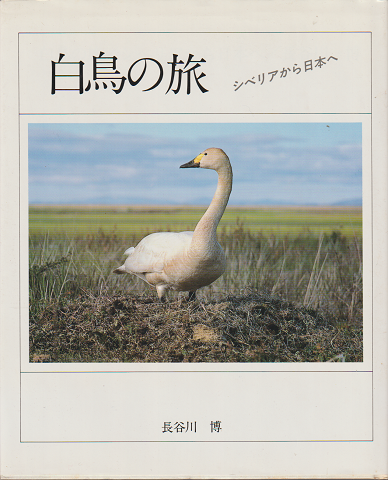 白鳥の旅 : シベリアから日本へ