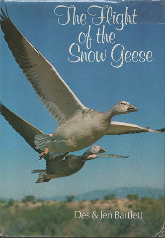 The Flight of the Snow Geese