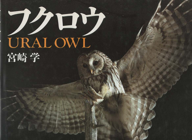 フクロウ : Ural owl