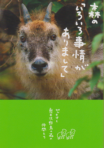 森の「いろいろ事情がありまして」 : ピッキオと軽井沢野鳥の森の仲間たち
