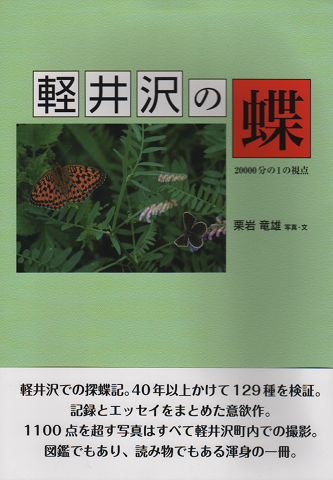 軽井沢の蝶