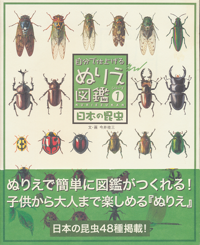 日本の昆虫
