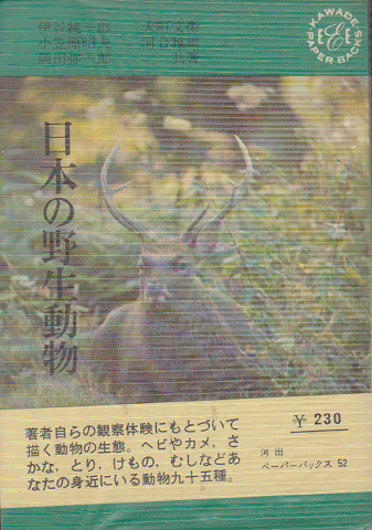 日本の野生動物