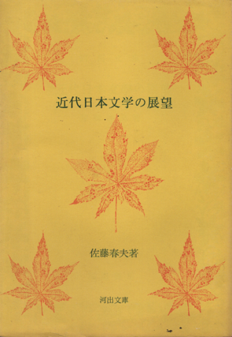 改訂 近代日本文學の展望