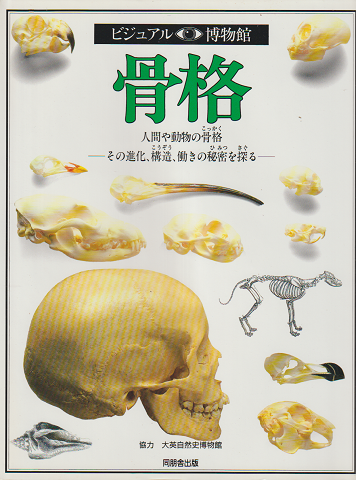 骨格 : 人間や動物の骨格 その進化、構造、働きの秘密を探る