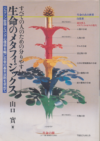 生命のメタフィジックス : すべての人のための分りやすい ベルグソン哲学とユング心理学を軸に生命の基本法則を求めて