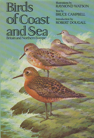 Birds of Coast and Sea  Britain and Northern Europe