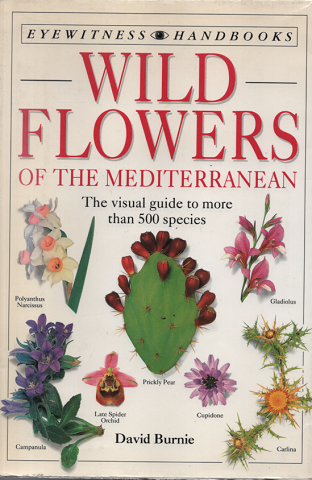 Wild flowers of the Mediterranean