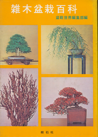 雑木盆栽百科 : 作り方のコツ