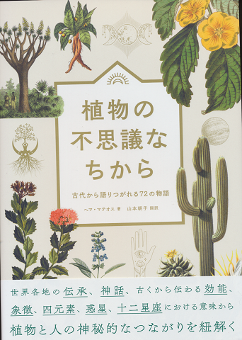 植物の不思議なちから