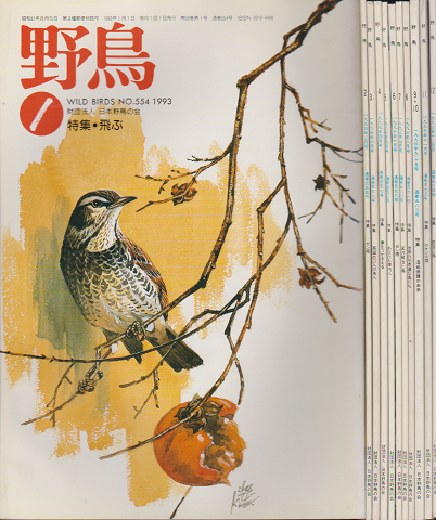 雑誌「野鳥」　1993年　一年分11冊