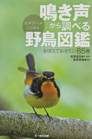 鳴き声から調べる野鳥図鑑