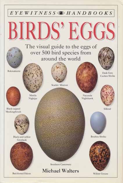 Birds` Eggs