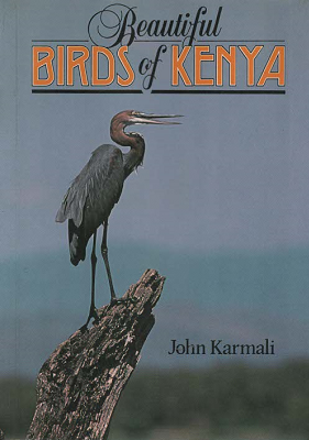 Beautiful Birds of Kenya