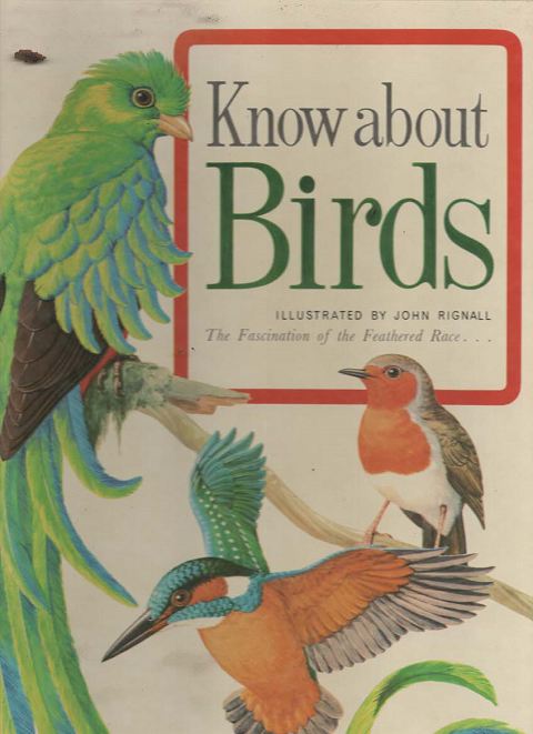 Know about Birds