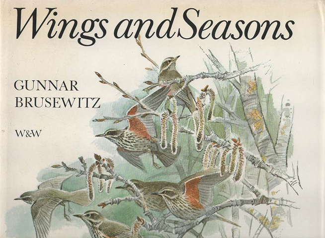 Wings and Seasons