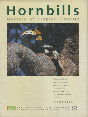 Hornbills   Maters of Tropical Forests