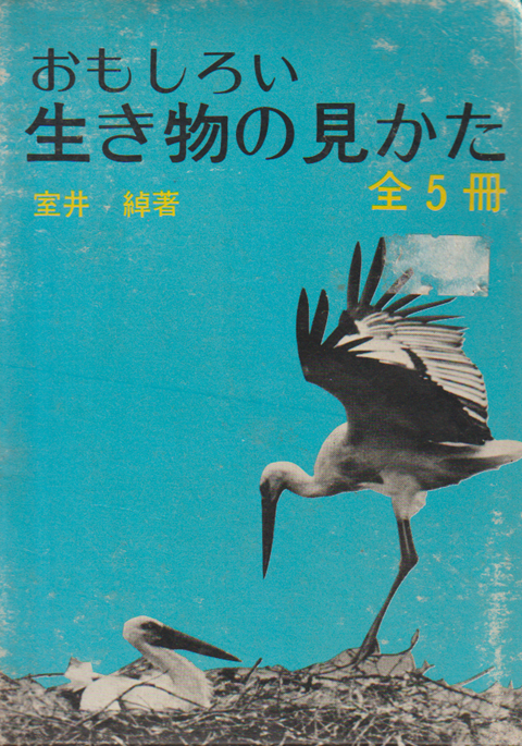 おもしろい生き物の見かた
