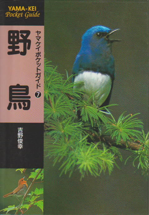 野鳥　ヤマケイポケットガイド7