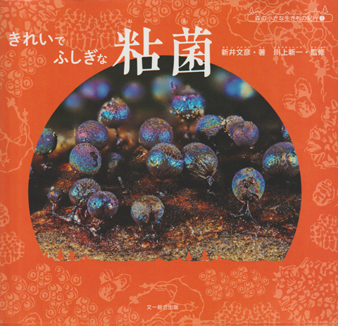 森の小さな生き物紀行①　きれいで ふしぎな 粘菌