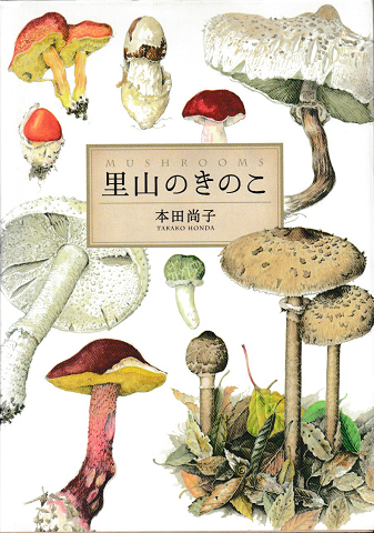 里山のきのこ = MUSHROOMS