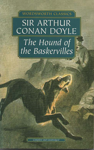 The hound of the Baskervilles and The valley of fear