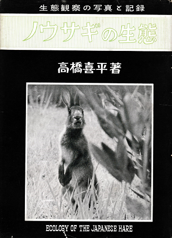 ノウサギの生態 : 生態観察の写真と記録