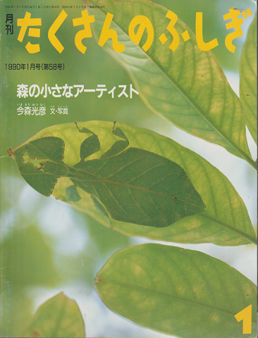 月刊「たくさんのふしぎ」1990年1月号（第58号）「森の小さなアーティスト」