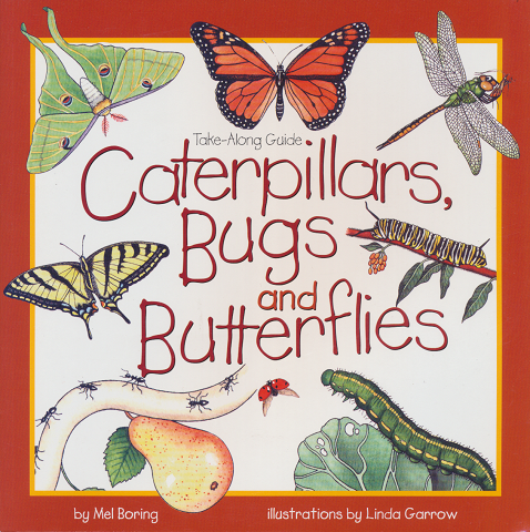 Caterpillars,　Bugs　and　Butterflies