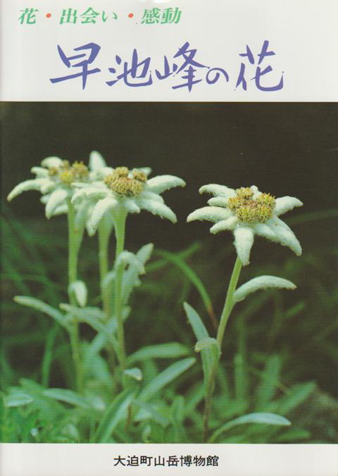早池峰の花
