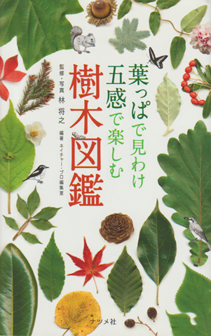 葉っぱで見わけ五感で楽しむ樹木図鑑