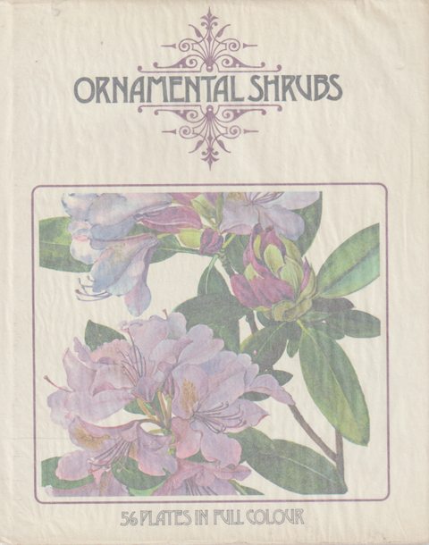 ORNAMENTAL SHRUBS 56 PLATES IN FULL COLOUR